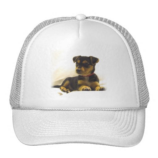Black Chihuahua Baseball Cap Mesh Hats