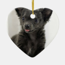 Black Chihuahua Ornament
