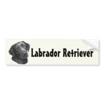 Black/Chocolate Labrador Retriever Bumper Stickers