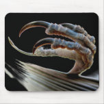 Black Claw Mousepad