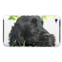 Black Cocker Spaniel Dog iTouch Case Barely There iPod Cover