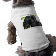 Black Cocker Spaniel Dog Shirt