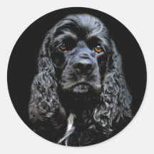 Black Cocker Spaniel Round Stickers