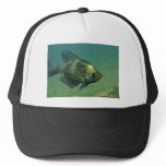 Black crappie hats