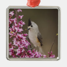 Black-crested Titmouse, Baeolophus Christmas Tree Ornament