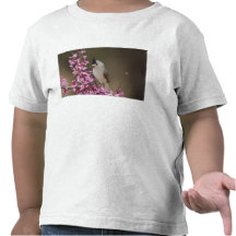 Black-crested Titmouse, Baeolophus Tshirt