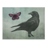 Black Crow and Butterfly postcard