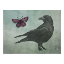 Black Crow and Butterfly postcard