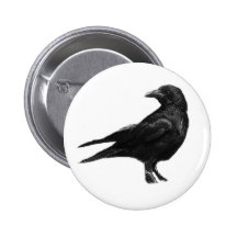 Black crow buttons