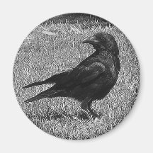 Black crow fridge magnets