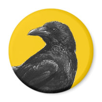 Black crow magnets