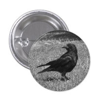 Black crow pin
