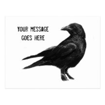 Black Crow postcard