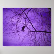 Black Crow Purple Sky Posters