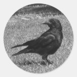 Black crow round stickers