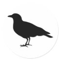 black crow stickers