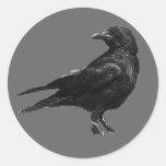 Black crow stickers