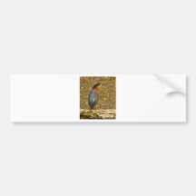 Black-Crowned Night heron Bumper Sticker