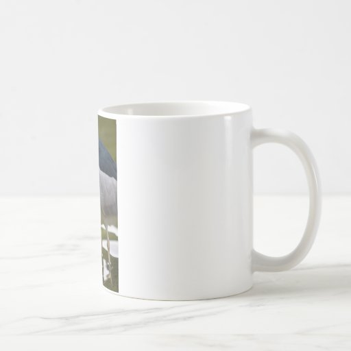 Black-crowned Night heron Coffee Mugs