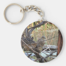 Black Crowned Night Heron Juvenile Key Chains