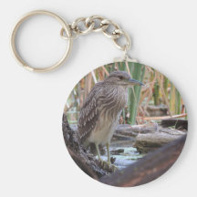 Black Crowned Night Heron Juvenile Keychain