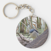 Black Crowned Night Heron Male Key Chains