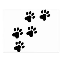 black cute dog paws doggy post cards