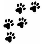 black cute dog paws doggy t-shirts