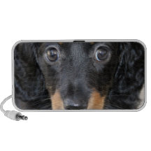 Black Dachshund Puppy Speakers