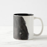 Black dog, Briard Mugs