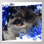 Black dog eye peering out of blue tinsel