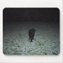 Black Dog in the Snow Mouse Pads