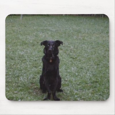Black Dog in the Snow Mousepad by Moondial