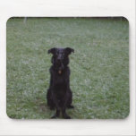 Black Dog in the Snow mousepads