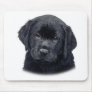 black dog mousepad