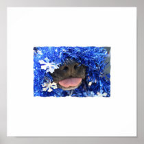 Black Dog Nose with Blue Tinsel Tongue Out Print