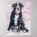 'Black Dog' Poster posters