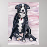 'Black Dog' Poster posters