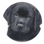 black dog stickers
