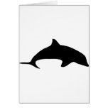 black dolphin icon cards