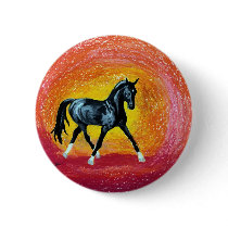 Black Dressage Stallion