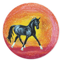 Black Dressage Stallion