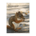 Black Duck Cove Park postcards