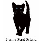 Black eartipped cat T shirt