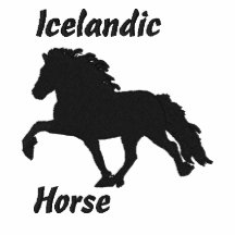 Black Embroidered Icelandic Polo Shirt