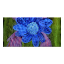 Black Eye Susan 1a