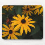 Black Eye Susan mousepad