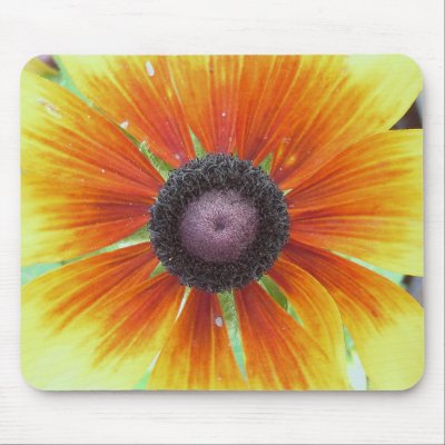 Black-Eyed Flower Mouse Pad by patrickrp