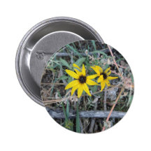 Black Eyed Susan 001 Rocky Mountain Arsenal 2012.J Pins