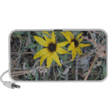 Black Eyed Susan 001 Rocky Mountain Arsenal 2012.J Speaker